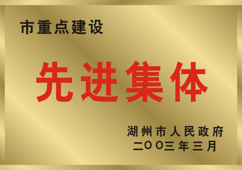 2002年度湖州市重點建設(shè)先進集體