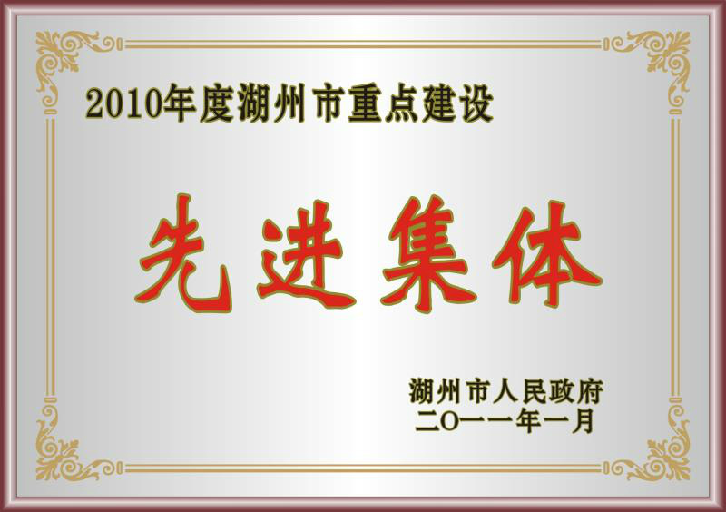 2010年度湖州市重點建設先進集體